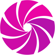 Logo Icon